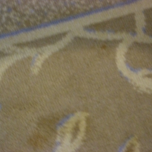 ホテル客室内のカーペットクリーニング