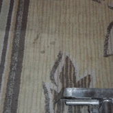 宴会場のウール絨毯のクリーニング