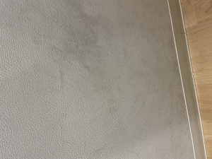 202462062533.jpeg