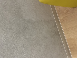 202462063121.jpeg