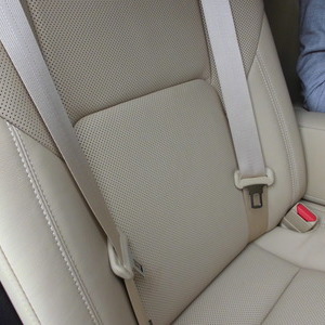 乗用車の革シートに　ペンキがついてしまい　何とか傷めずに　きれいに