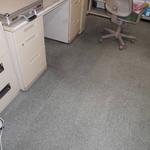 ５月は事務所の配置替えによるカーペットクリーニングが多くなります。
