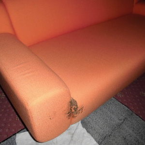 ホテルのロビーに置かれていたソファーに目立つ汚れ