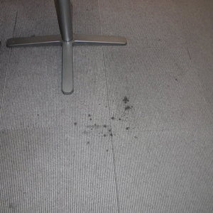 事務所のカーペットに黒いシミ