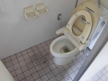 エコキメラによるトイレ内壁　防汚作業