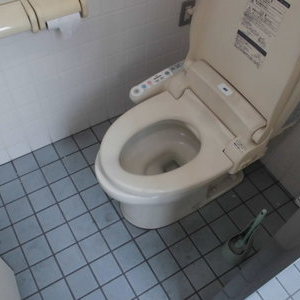 エコキメラによるトイレ内壁　防汚作業