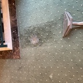 雨漏れで脱色した絨毯